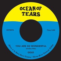 Gold - You Are So Wonderful - Vinyl Record 7 - G3Z