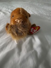 TY Beanie Baby Paul the Walrus