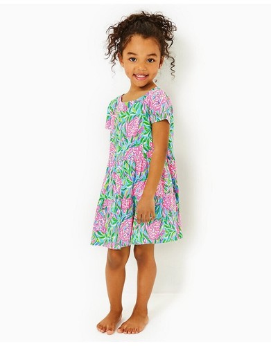 Lilly Pulitzer Girls Mini Geanna Swing Dress Short Sleeve Print S 4-5 YRS 278555