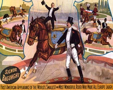 POSTER CIRCUS SIGNOR BAGONGHI SMALL WONDERFUL HORSE RIDER VINTAGE REPRO FREE S/H