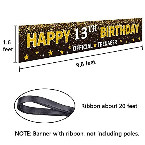 13th Birthday Decorations In My Official Teenager Era
