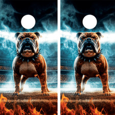 WATERPROOF  FADEPROOF Cornhole Board Wraps / Cleveland Football /
