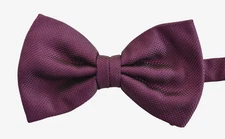 🆕️NEW BRIONI Amaranth 100% SILK Woven Men's Pre-Tied BOW TIE