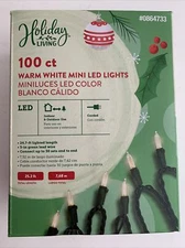 Holiday Living 25.2-ft 100 Warm White LED String Lights