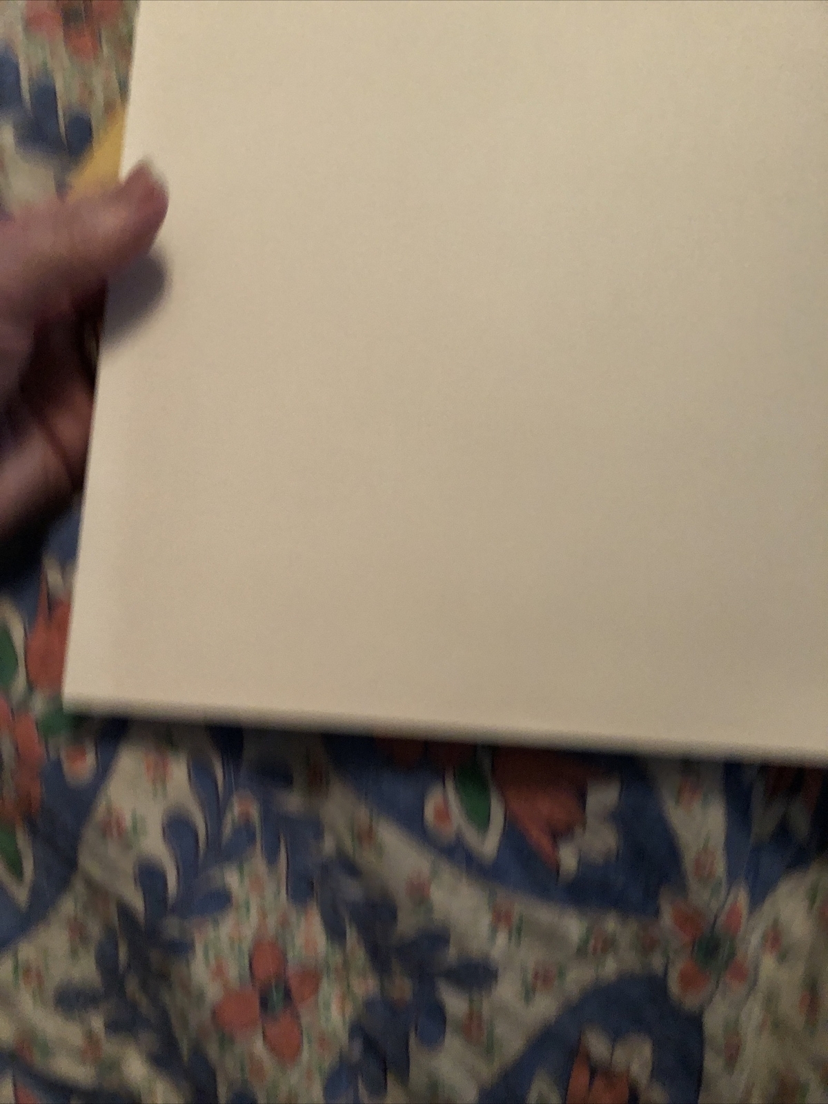 Picture 4 of 9
