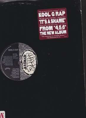 kool g rap it's a shame 12