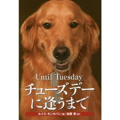 Until Tuesday Service Dog Figure Collectible Japan Import Excellent