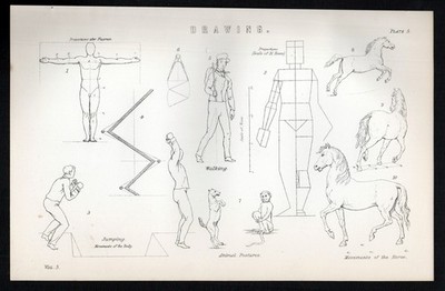 ZEICHNUNG 1883 Proportionen nach Flachsman - Bewegungen VIKTORIANISCHE LITHOGRAPHIE #5