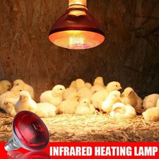 INFRA RED HEAT BULB LAMP RUBY 250W Poultry Chick Brooder Lambs Livestock UK