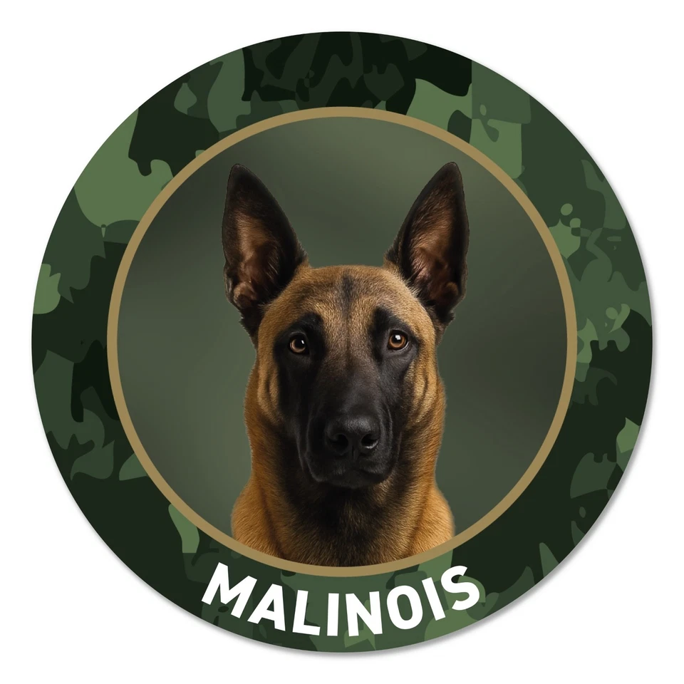 Malinois Autoaufkleber Belgischer Schäferhund, Hunde Zaunschild "Hier wache ich" - Bild 2 von 4