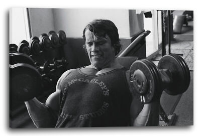 Wandbild Arnold Schwarzenegger Muskel-Shirt Hanteln mit Gewichten