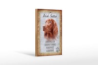 Holzschild Spruch 12X18 Cm Irish Setter Hund Geschenk Holz Deko Schild