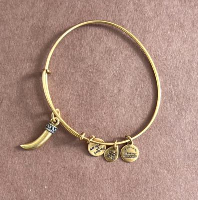 Alex and Ani Rafaelian Gold Tone Horn Charm Expandable Bracelet