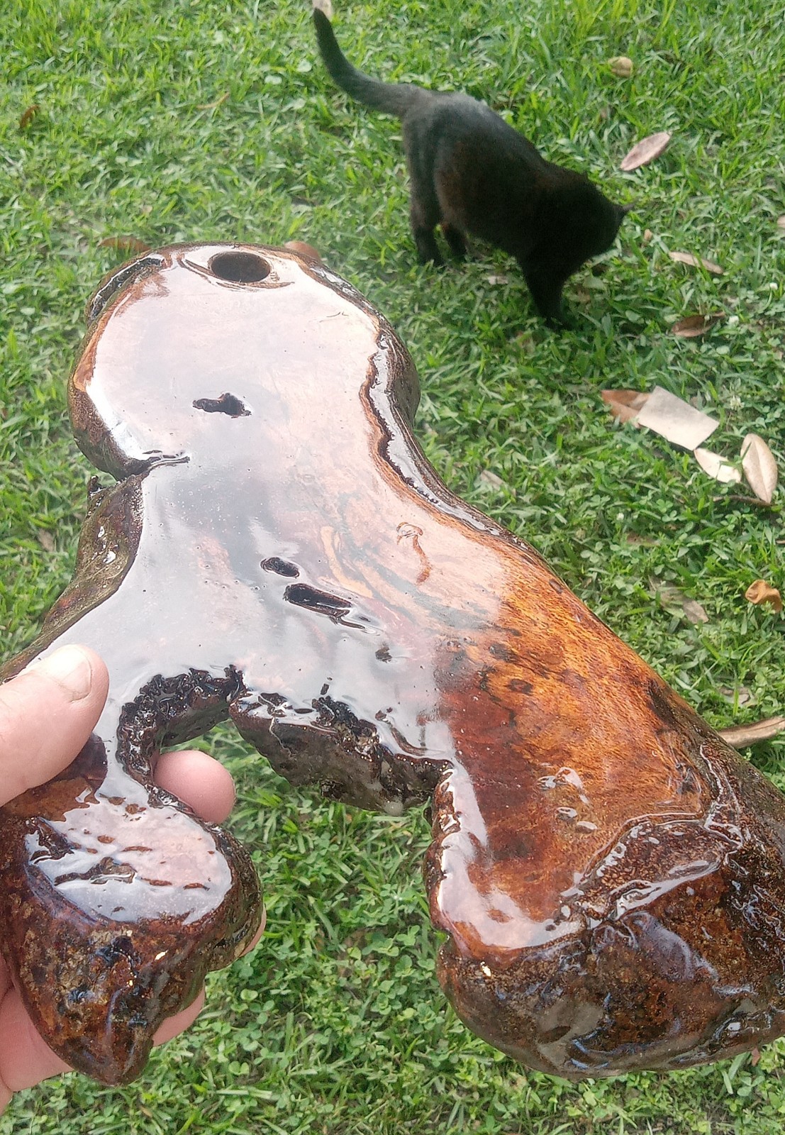 Picture 11 of 24