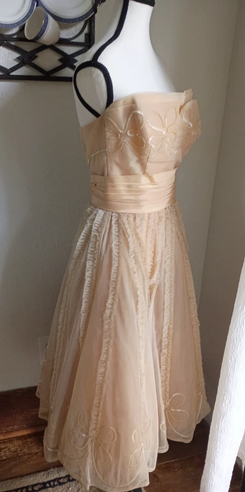 XS Pequeño Taupe Rosa Mujer Vestido Formal Cupcake Vestido Vintage Baile de graduación Enagua Foto 4 de 4