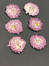 Purple Flowers Pressed and dried resin, crafts, scrapbooking Combined Shipping