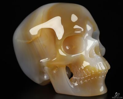 3.5'' Premium Brazilian Agate Crystal skull with Led Stand,Super Realistic