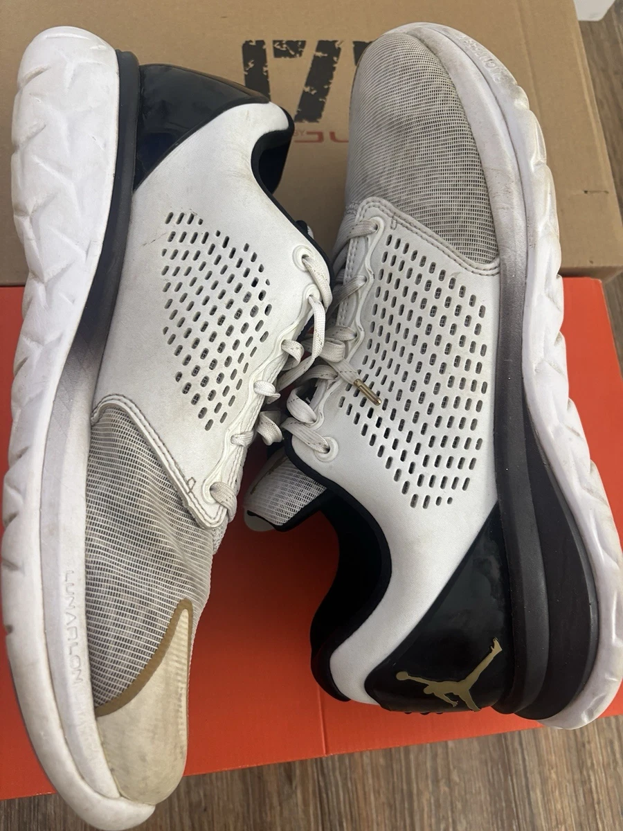 Jordan Trainer ST Premium White Gold for Sale | Authenticity