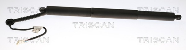 Heckklappen DäMpfer Gasfeder Kofferraum Triscan 8710 11308 FüR Bmw X5 F15 F85-image