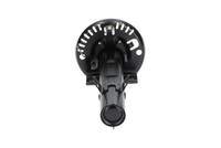 StoßDäMpfer Kavo Parts SSA-10013