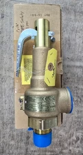 Apollo Valves 19-EFEL-45S Safety Valve 45 PSI (NEW)