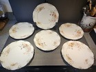 Set of 6 Antique Circa 1900 Carl Tielsch & Co. (C.T.) Dinner Plates 9 3/4"  — photo 1