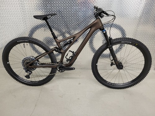 2022 Specialized Stumpjumper Expert S3 