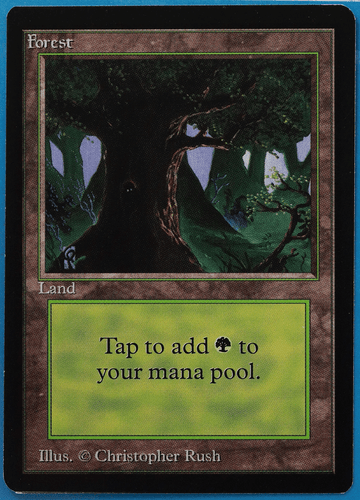 Forest (C Dark Tree) Beta PLD Basic Land MAGIC MTG CARD (ID# 505236) ABUGames - Picture 1 of 2