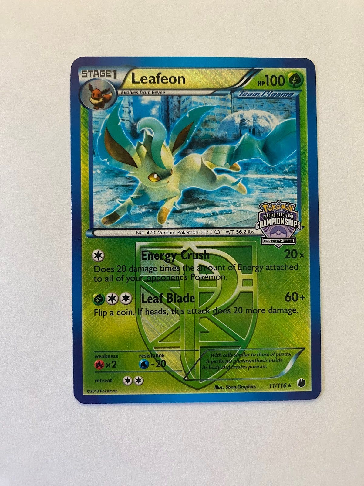 Leafeon 11/116 Plasma Freeze - Pokemon 2013 State Championship Promo Holo - MP