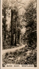 Cigarette Card WD & HO Wills New Zealand # 3 Bush Road Westland