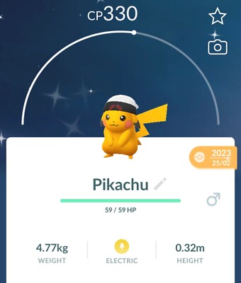 Shiny & Non Shiny Brendan Mütze Pikachu Pokémo Go