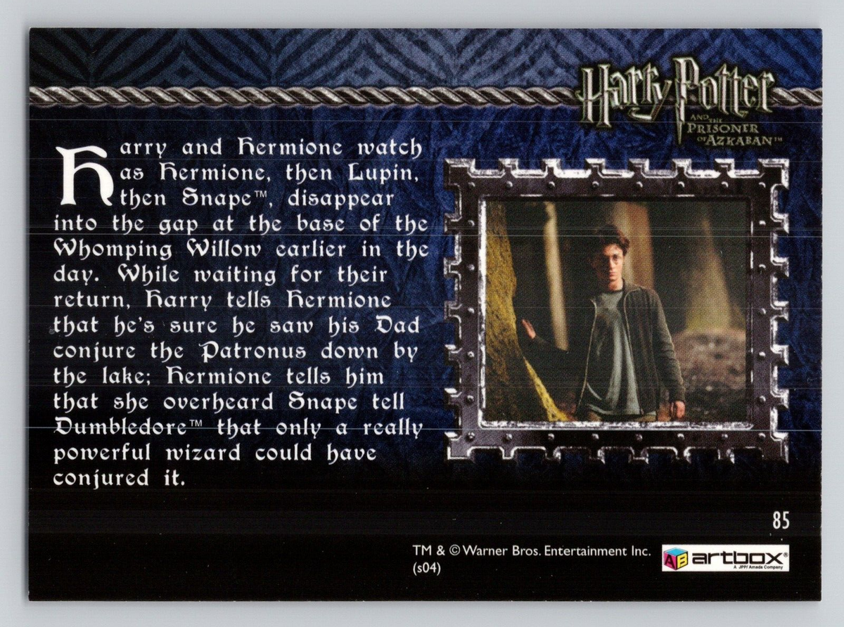 Harry Potter and The Prisoner of Azkaban Has Harry Seen His Dad