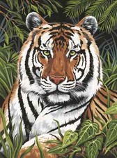 JUNGLE TIGER IN HIDING CLOSE UP PAINTING A4 PAINT BY NUMBERS & BRUSH PJS75 