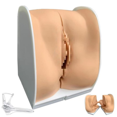 #ad #ad IUD Training Model Female Gynecological Manikin Model Female Genitals Anatomy... $118.99