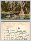 Wakulla Springs, FL-Florida, Wakulla River Cypress Trees Vintage Postcard