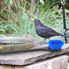 Bird Bath Brush: Utility Bird Cleaner for Fountain Outdoor Cleaning - Bathtub