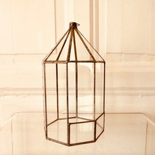 Altes Zimmer Gewächshaus Glashaus Florarium Vitrine Laterne Vintage