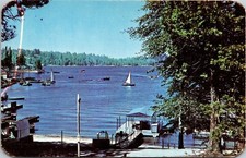 Lake Arrowhead CA California San Bernardino National Forest Postcard Dexter VTG