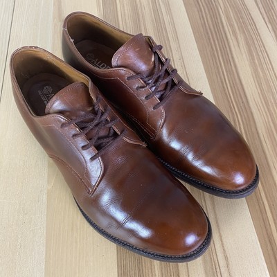 Alden Plain Toe Dover Shoe