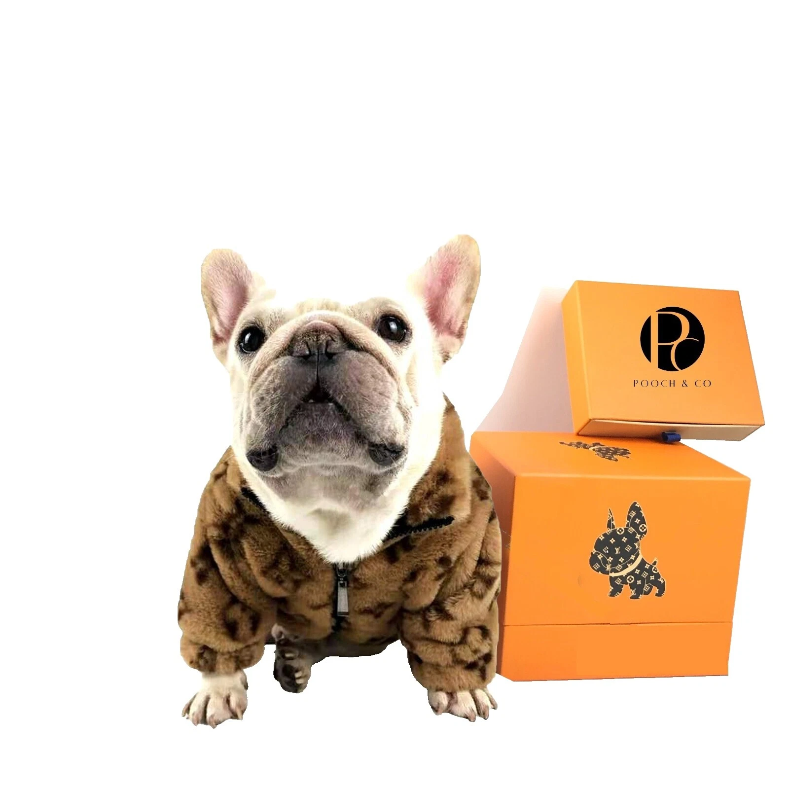 Marrón L Ropa y zapatos para perro de piel