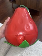 Strawberry Shortcake Assorted Outfit Pieces And Travel Case