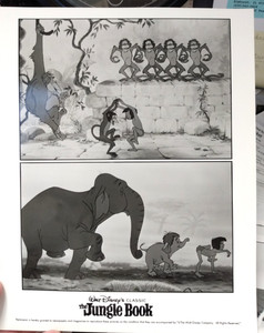 Walt Disney Home Video movie The Jungle Book press packet + photos