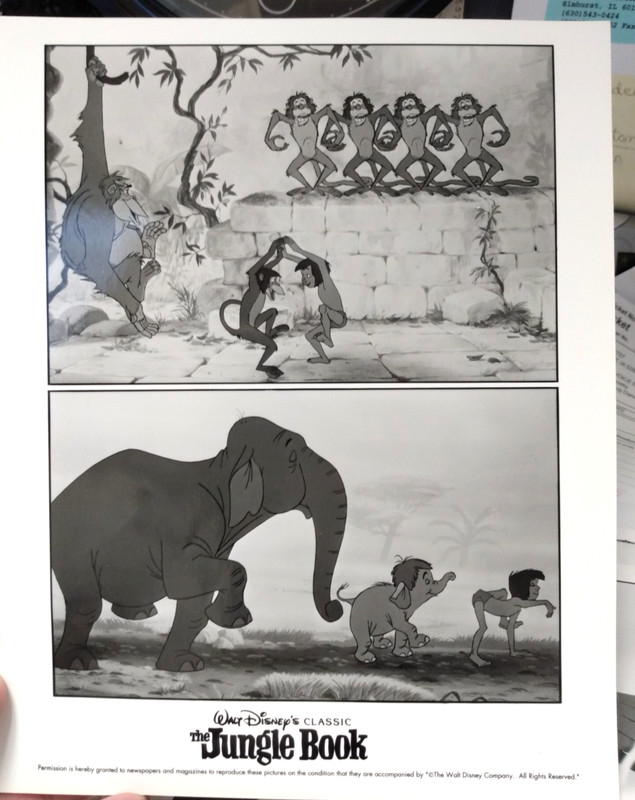Walt Disney Home Video movie The Jungle Book press packet + photos