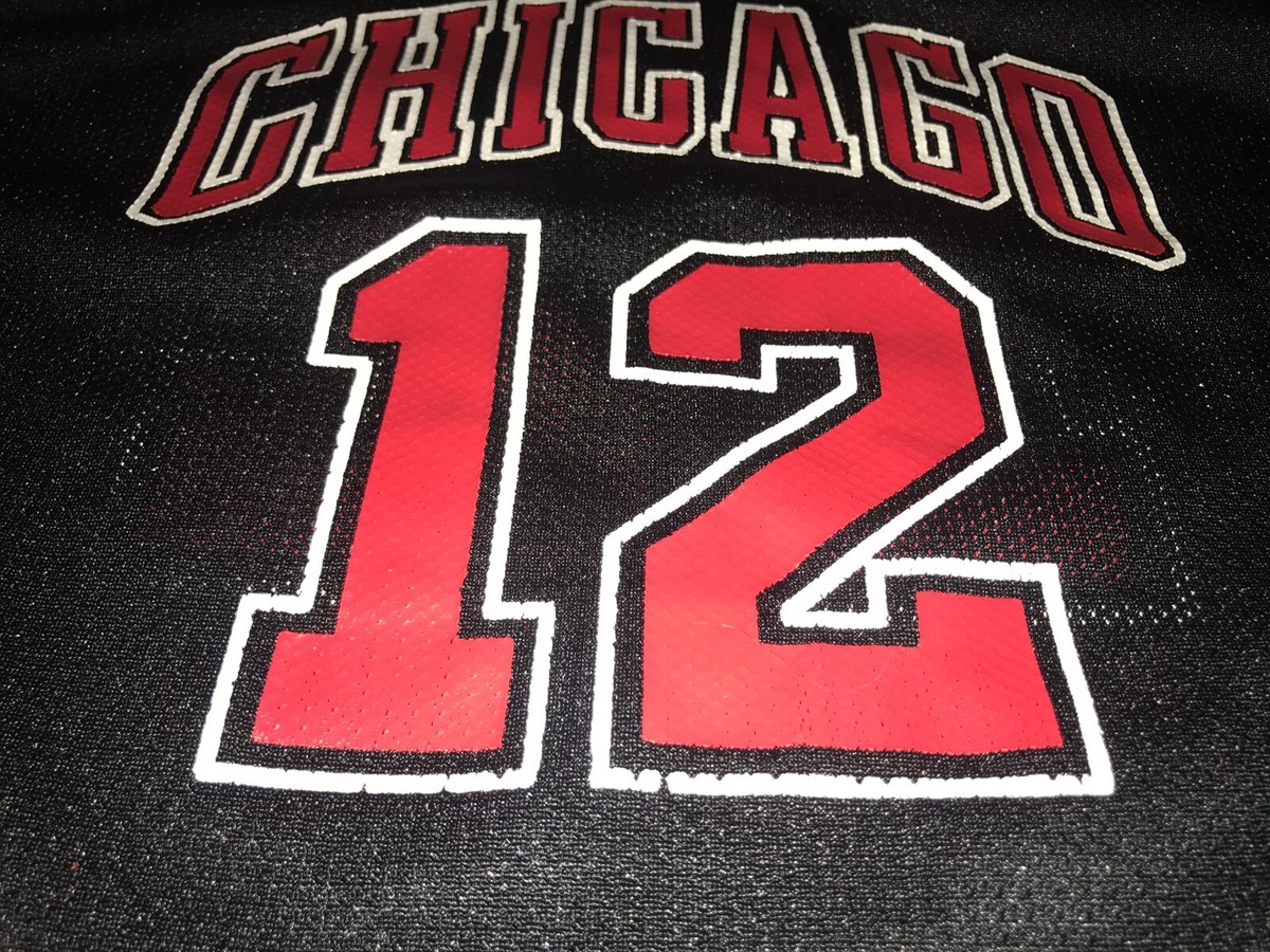 Kirk Hinrich Chicago Bulls Reebok Vintage Black Replica Jersey