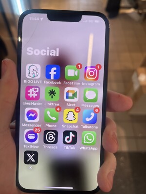 Ipone 13 With TikTok App