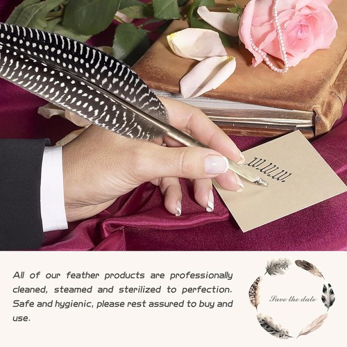 24Pcs Natural Pheasant Feathers for DIY Craft 15-22Cm Assorted Wild Turkey Feath - Picture 3 of 11