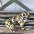 Brush McCoy  Green Frog Fgiurine