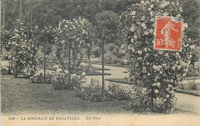 CP ROSERAIE DE BAGATELLE ND