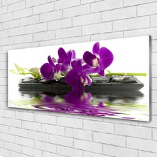Acrylglasbilder Wandbilder Druck 125x50 Blumen Pflanzen