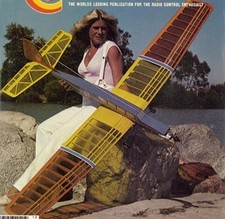 Big Bird Too Sport Low Wing 84 WS RC Model Ai...